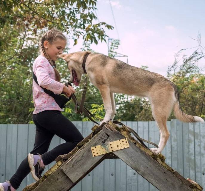 «Новый ковчег» приглашает детей в кружок «Юный кинолог»! ?

Занятия стартуют 1 февраля и будут пр...