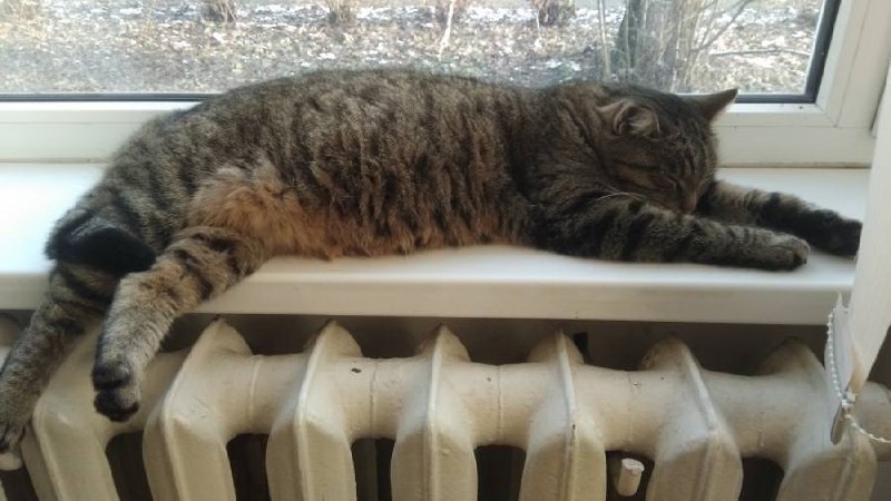 В Курчатове пожилая пара страдает от отсутствия отопления в одной из комнат своей квартиры. По сл...