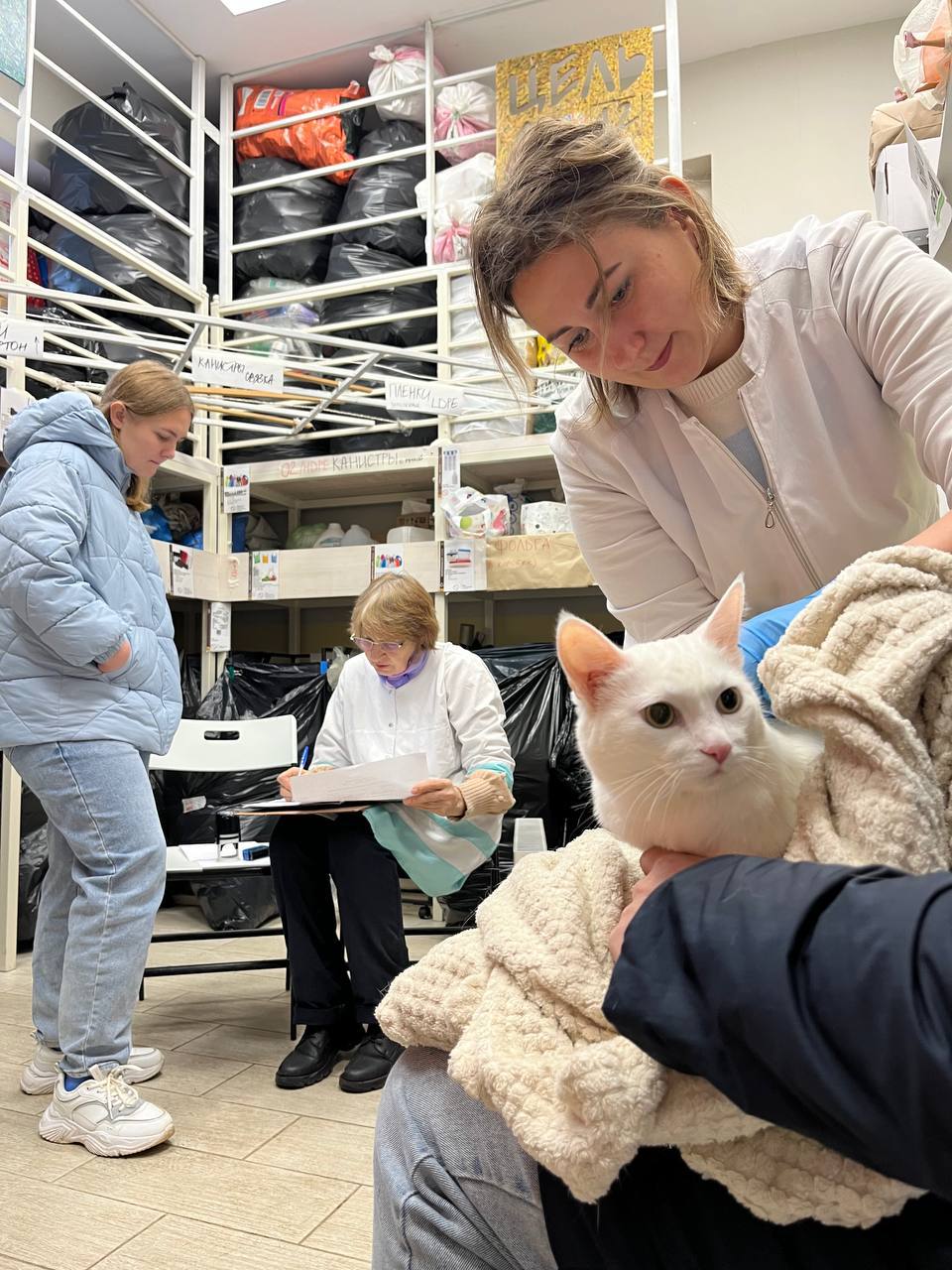 В Обнинске 28 марта пройдет бесплатная вакцинация кошек и собак от бешенства. Прививки будут дела...