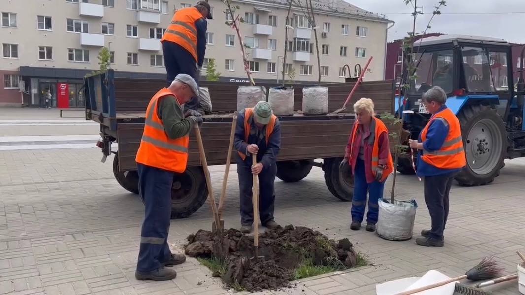 В Обнинске планируется масштабное озеленение. В районе Курчатова на улице Курчатова, 25 застройщи...